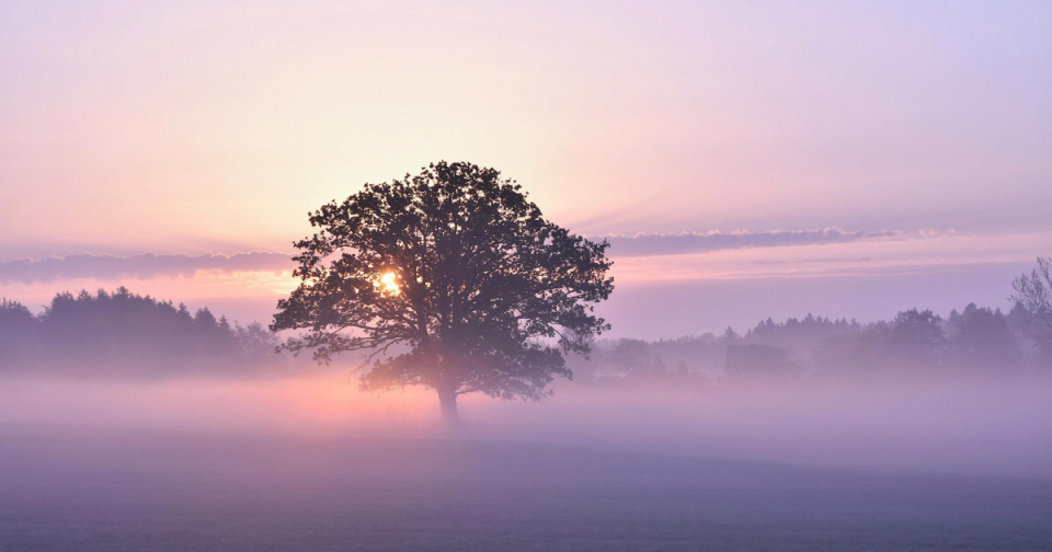 向いている仕事の見つけ方を現実的に考える